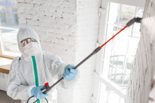 Best Comprehensive Air Testing for Mold Contaminants  in Mills, WY