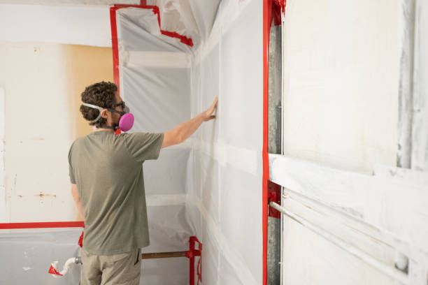 Best Mold Damage Restoration  in Mills, WY