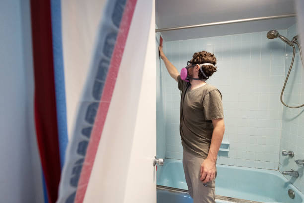 Mold Remediation for Rental Properties in Mills, WY