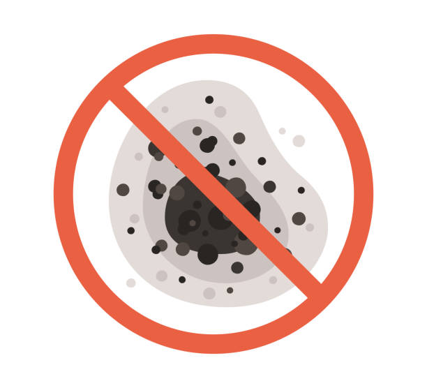 Best Mold Prevention Services  in Mills, WY